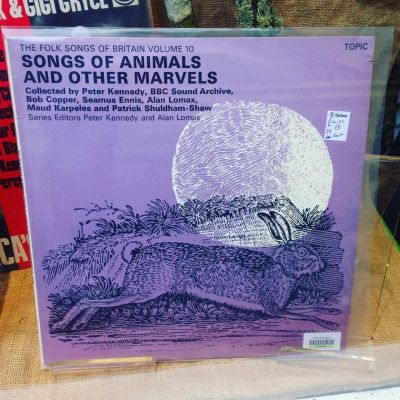 Shows - Wildlife Discotheque