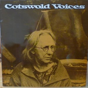 Wildlife Discotheque