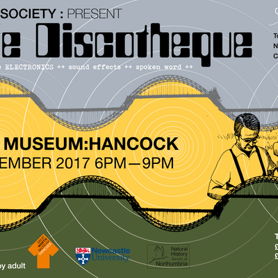 Shows - Wildlife Discotheque