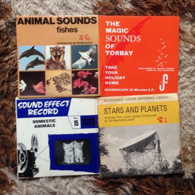 Shows - Wildlife Discotheque