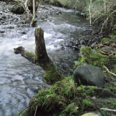 Shows - What are we Talking About Today? with Collette Hurley 