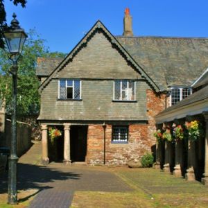 The Totnes Town Council Meeting Show