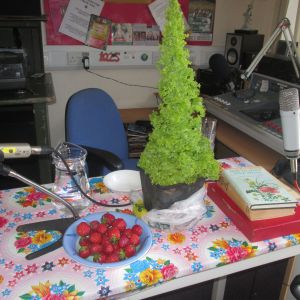 The Apples of the A38 Show
