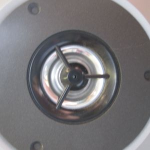 The Buzzin Beats Show