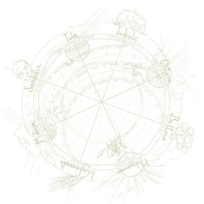 Fun, Fitness and Families - 