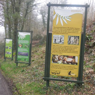 Shows - Sanctuary Tails